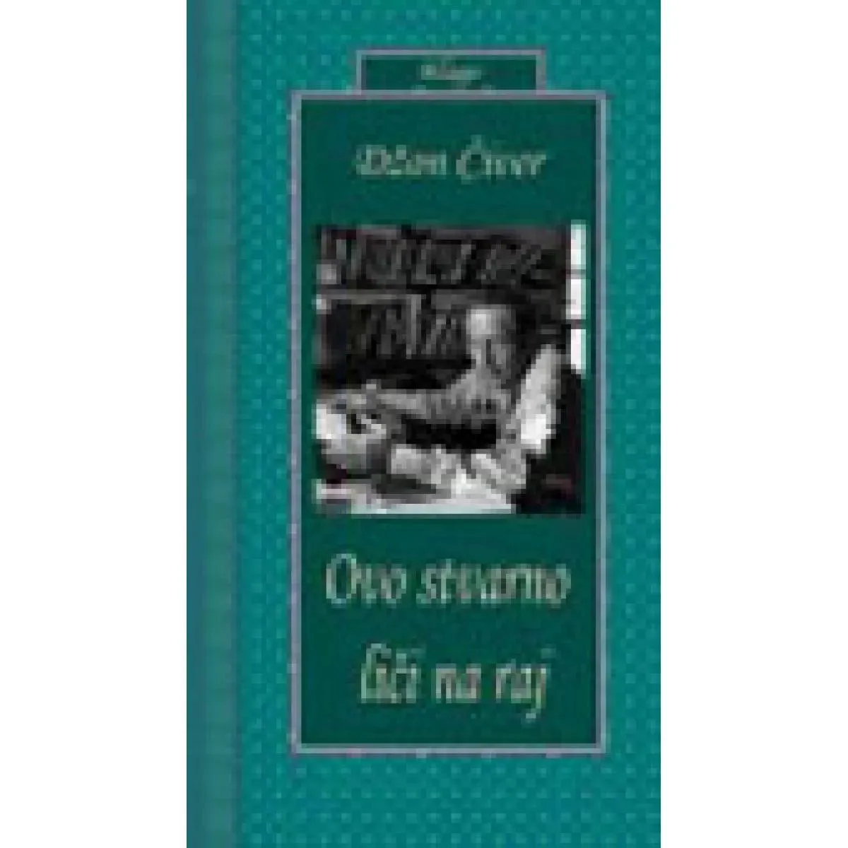 OVO STVARNO LIČI NA RAJ 