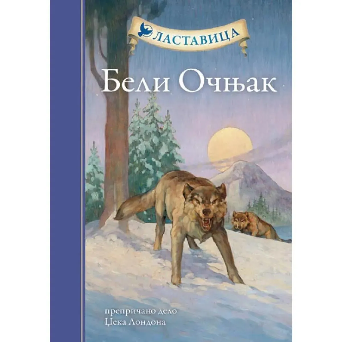 LASTAVICA BELI OČNJAK TP 