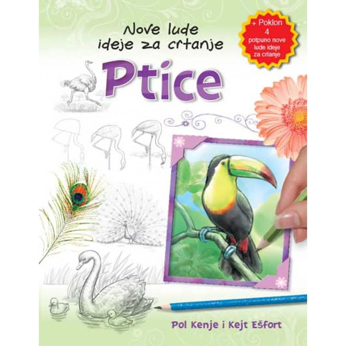 NOVE LUDE IDEJE ZA CRTANJE PTICE 