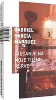 SJEĆANJE NA MOJE TUŽNE KURVE 
