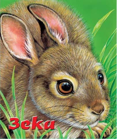 ZEKA 