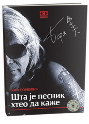 ŠTA JE PESNIK HTEO DA KAŽE 