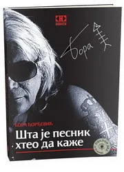 ŠTA JE PESNIK HTEO DA KAŽE 