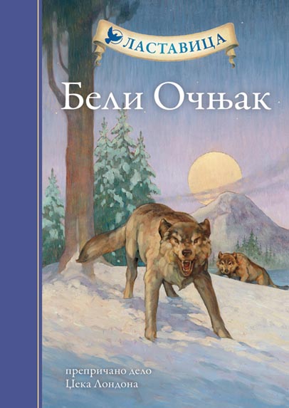 LASTAVICA BELI OČNJAK TP 