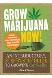 GROW MARIJUANA NOW 