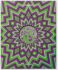 PSYCHEDELIC SEX BOOK 