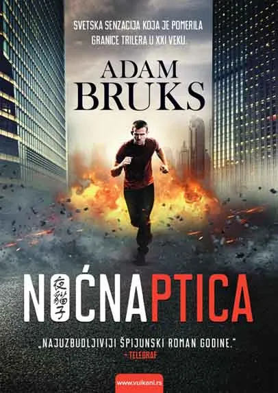 NOĆNA PTICA 