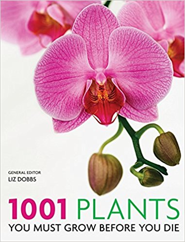 1001 PLANTS 