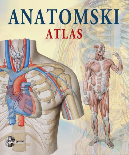 ANATOMSKI ATLAS 