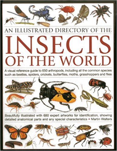 INSECTS OF THE WORLD 