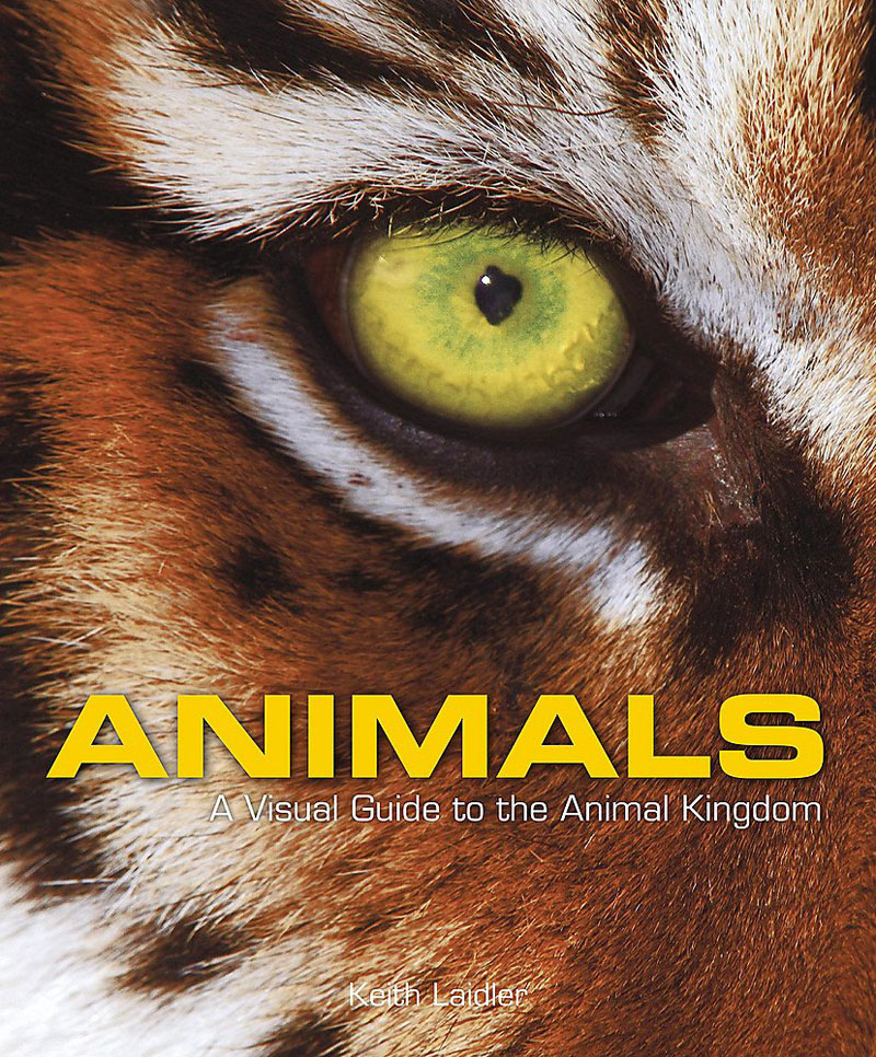 ANIMALS 