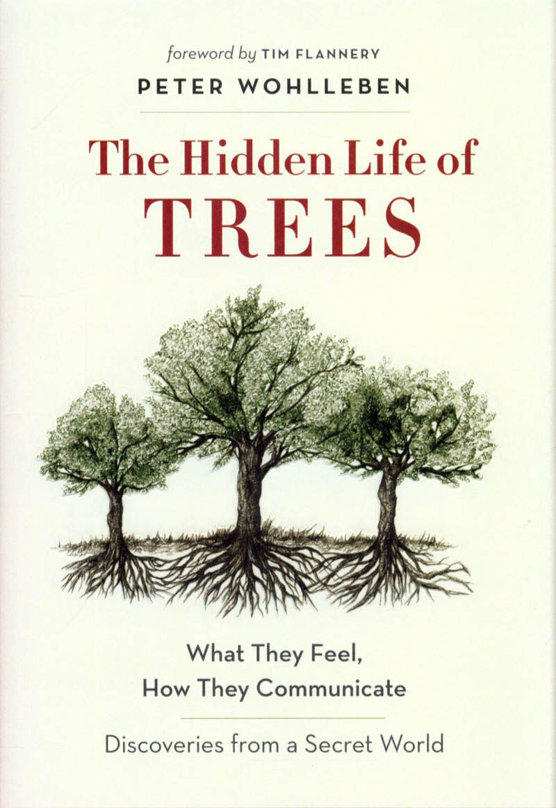 HIDDEN LIFE OF TREES 
