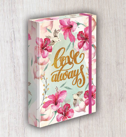 Fascikla DREAM A4 tvrdi povez 3cm 