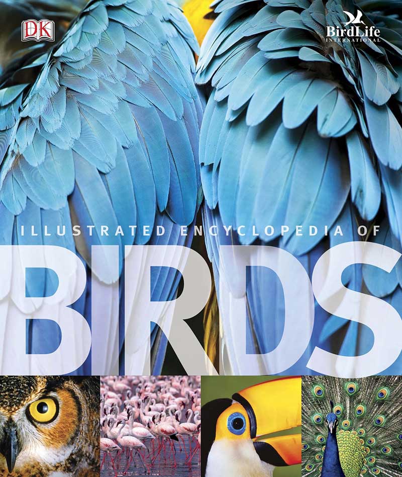 THE ILLUSTRATED ENCY OF BIRDS 