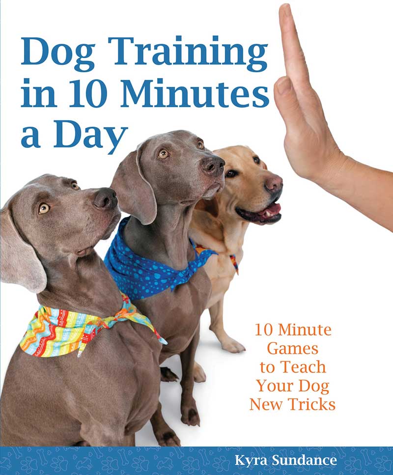 DOG TRAINING IN10 MINUTES A DAY 