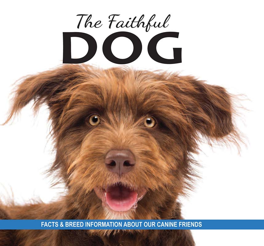 THE FAITHFUL DOG 