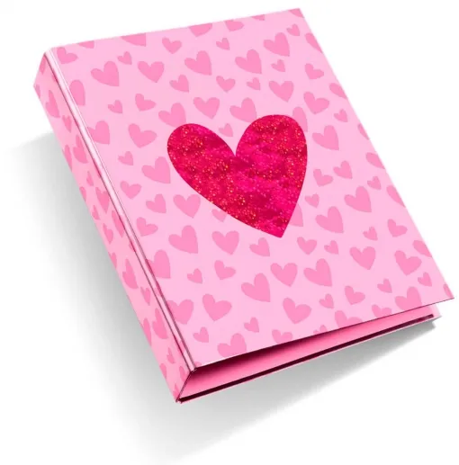 Registrator CARDBOARD BINDER W/RINGS OF 40 MM LUREX ARP 