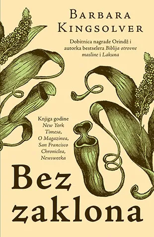 BEZ ZAKLONA 