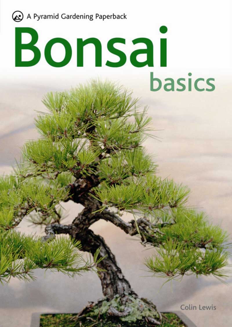 BONSAI BASIC 