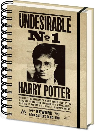 Notes sa spiralom A5 HARRY POTTER Sirius & Harry