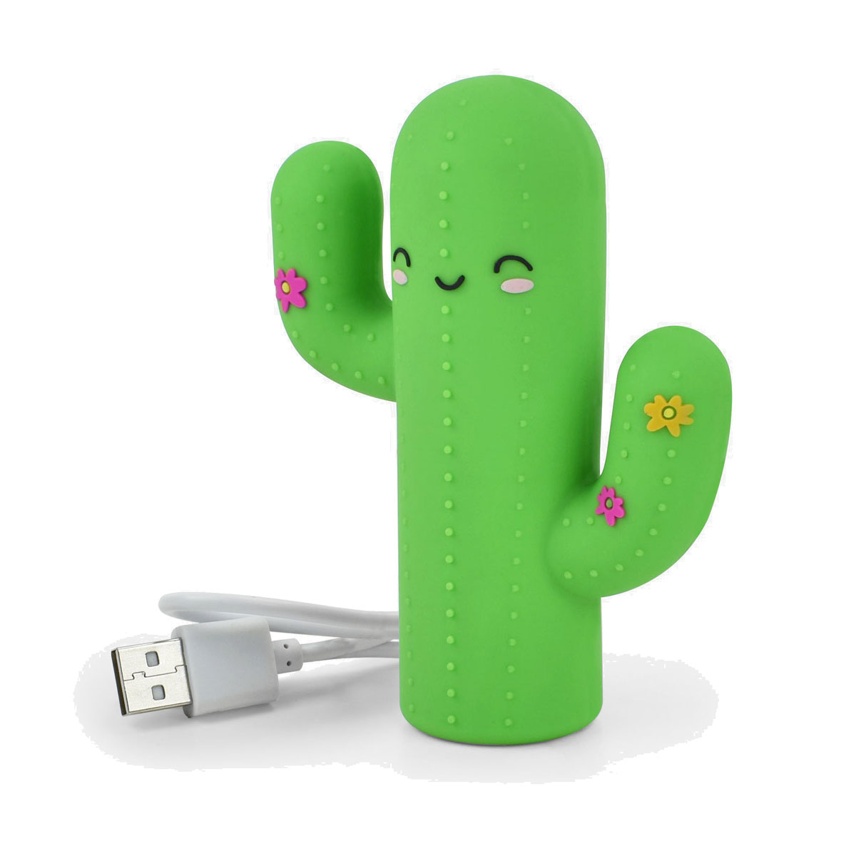 Power Bank eksterna baterija CACTUS 