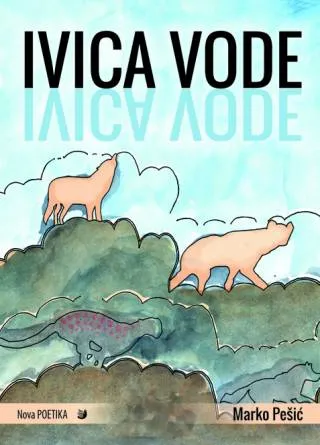 IVICA VODE 