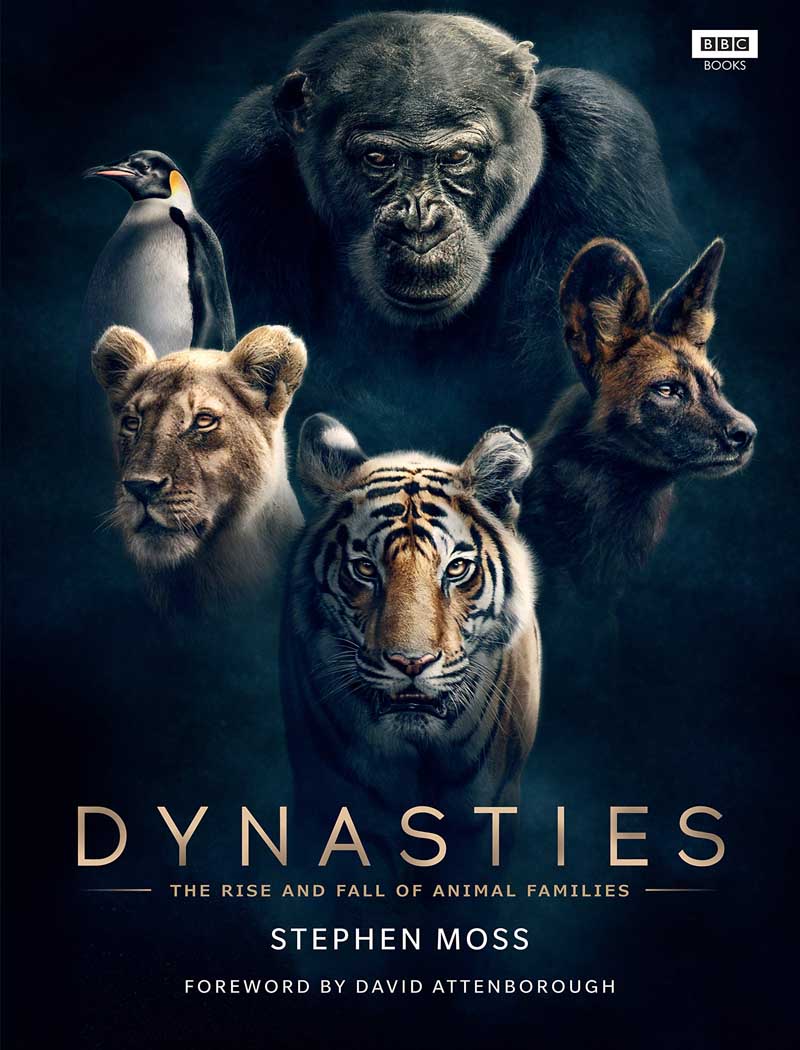 DYNASTIES THE RISE AND FALL OF ANIMAL FAMILIES 