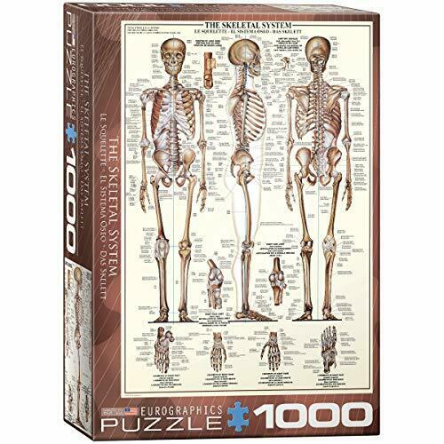 Puzzle THE SKELETAL SYSTEM 1000kom 