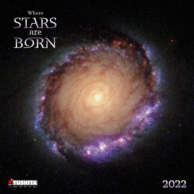 Zidni kalendar WHERE STARS ARE BORN 2022 