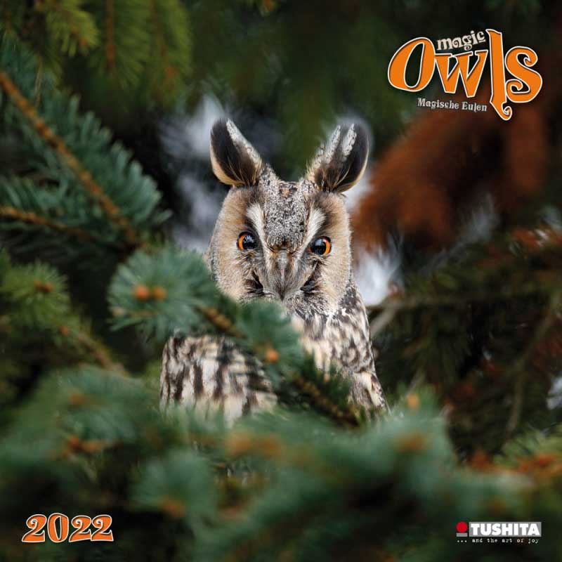 Zidni kalendar MAGIC OWLS 2022 
