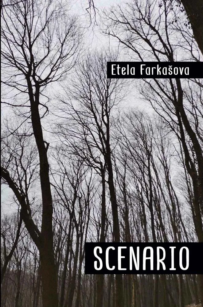 SCENARIO 