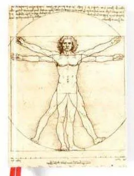 Notes DA VINCI - VITRUVIAN MAN 