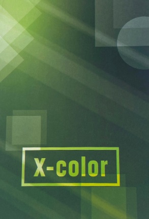 Sveska A5 TP X-COLOR 