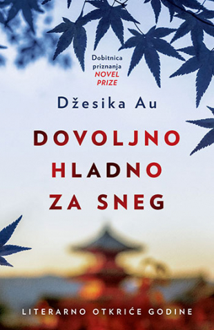 DOVOLJNO HLADNO ZA SNEG 