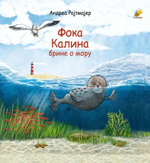 FOKA KALINA BRINE O MORU 