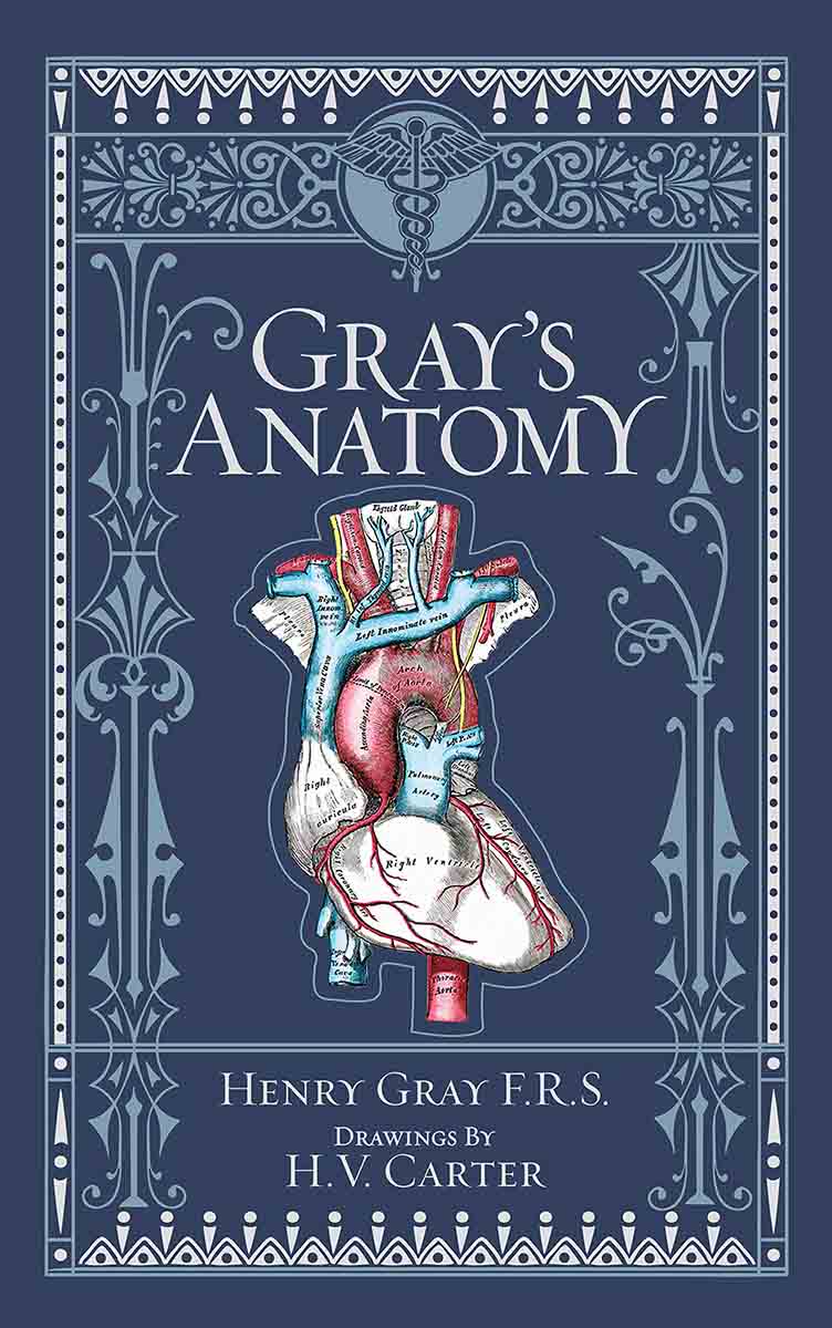 GRAYS ANATOMY hc 