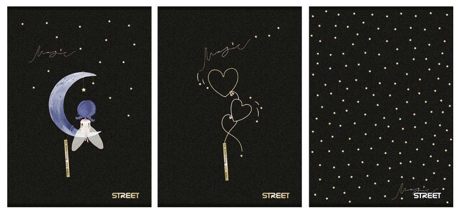 BLACK GOLD SVESKA A4 54L prazna 