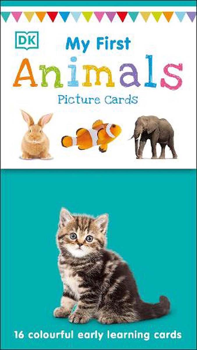 MY FIRST ANIMALS picture cards 