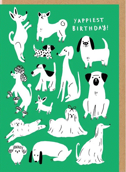 Rođendanska čestitka YAPPY BIRTHDAY 