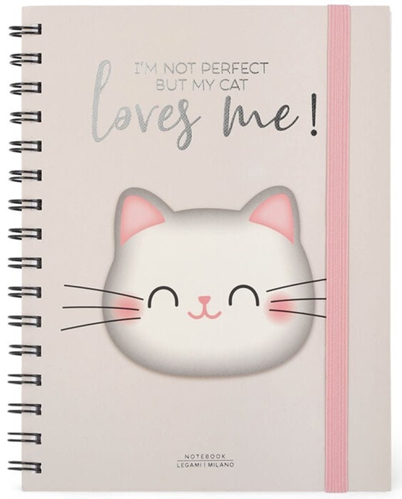 Notes sa spiralom  KITTY 