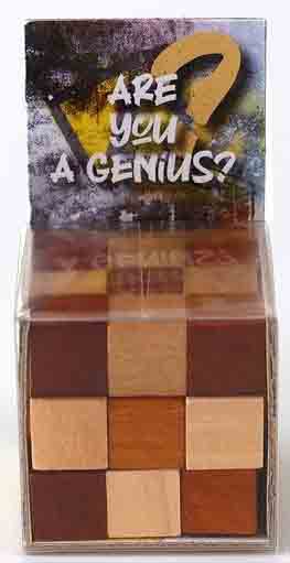 Mozgalica ARE YOU GENIUS 