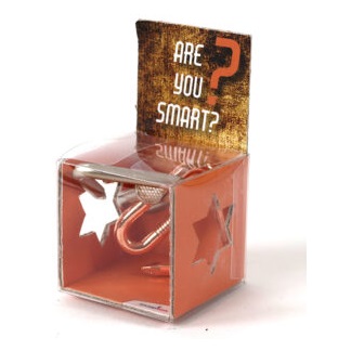 Mozgalica ARE YOU SMART 