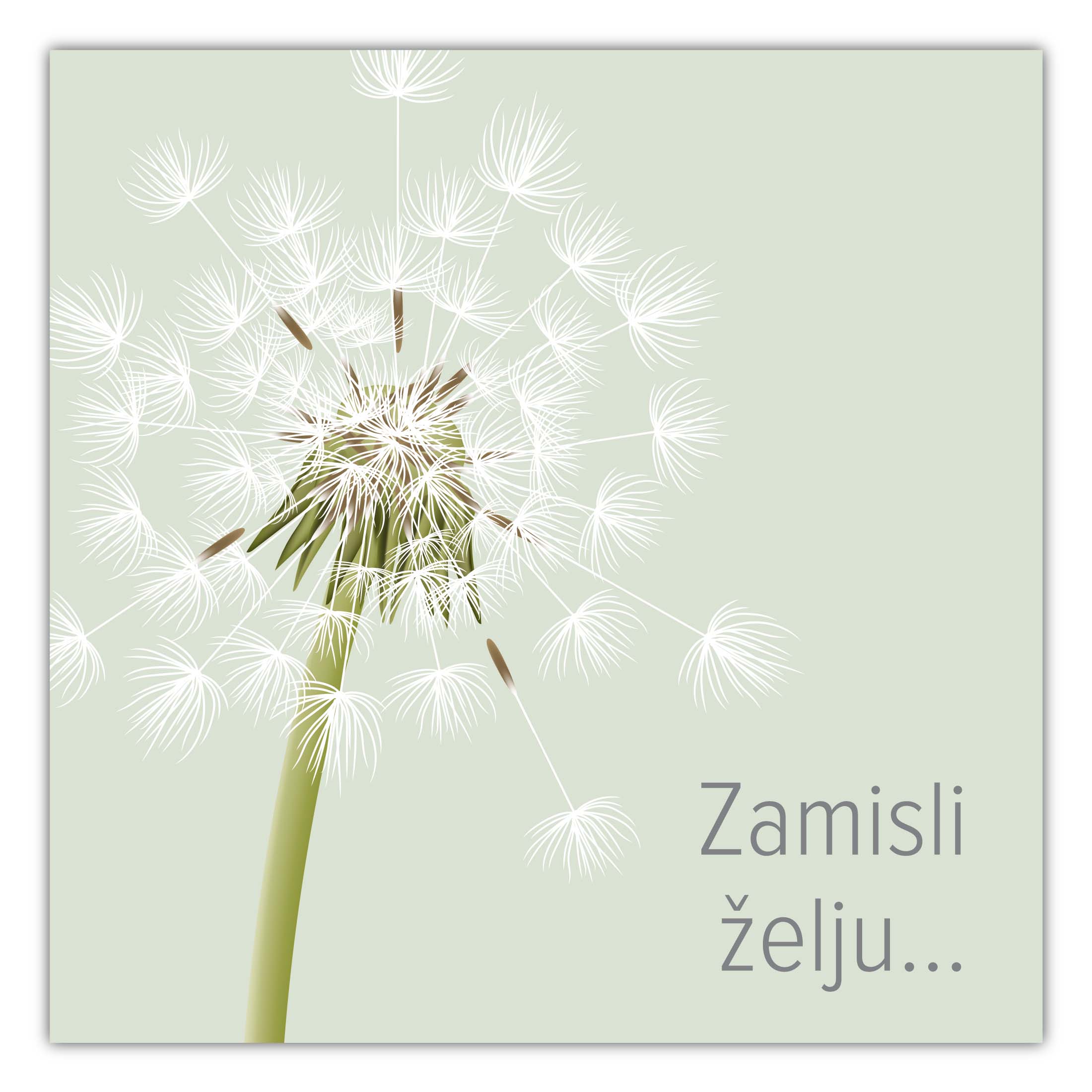 E-Gift kartica ZAMISLI ŽELJU 5000 