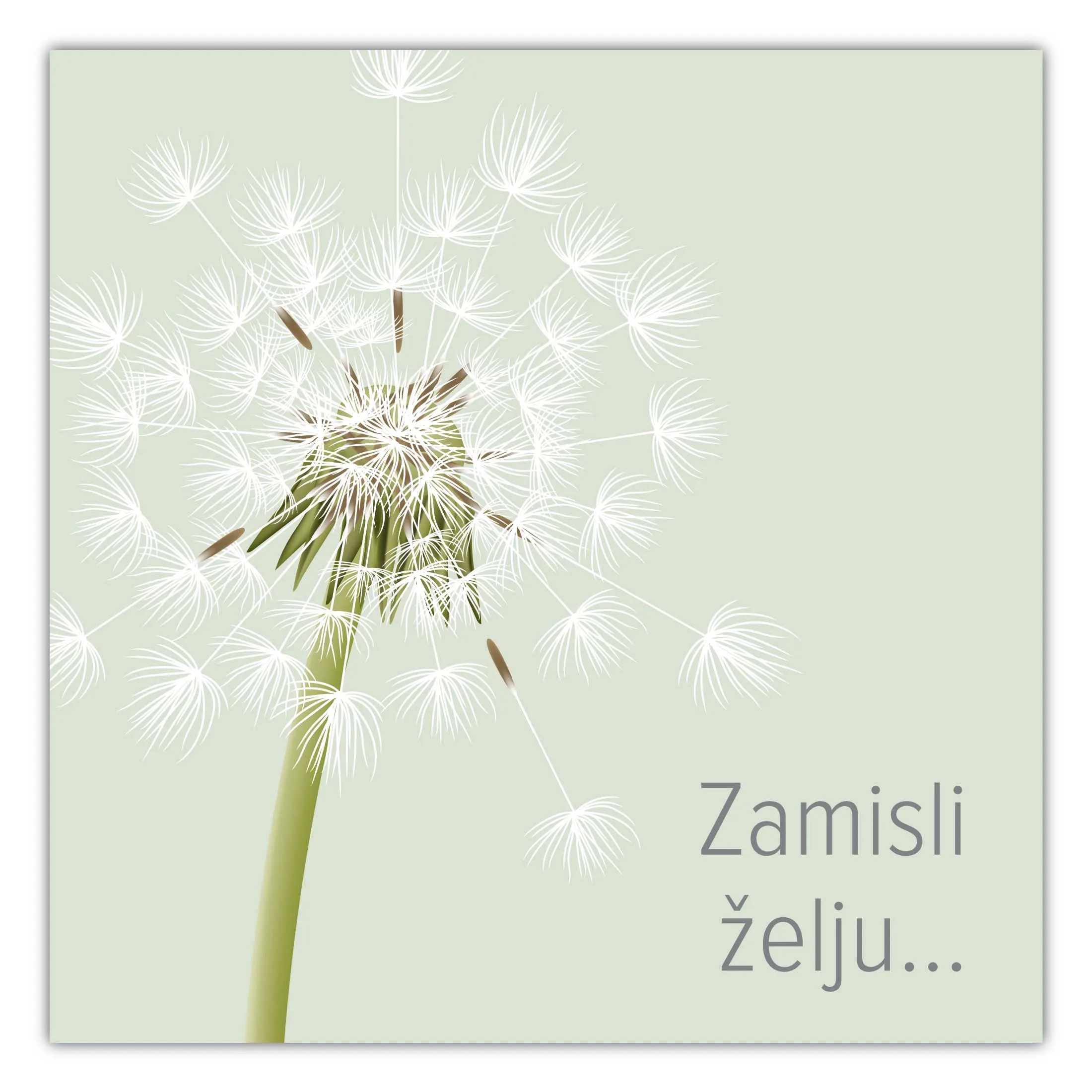 E-Gift kartica ZAMISLI ŽELJU 5000 