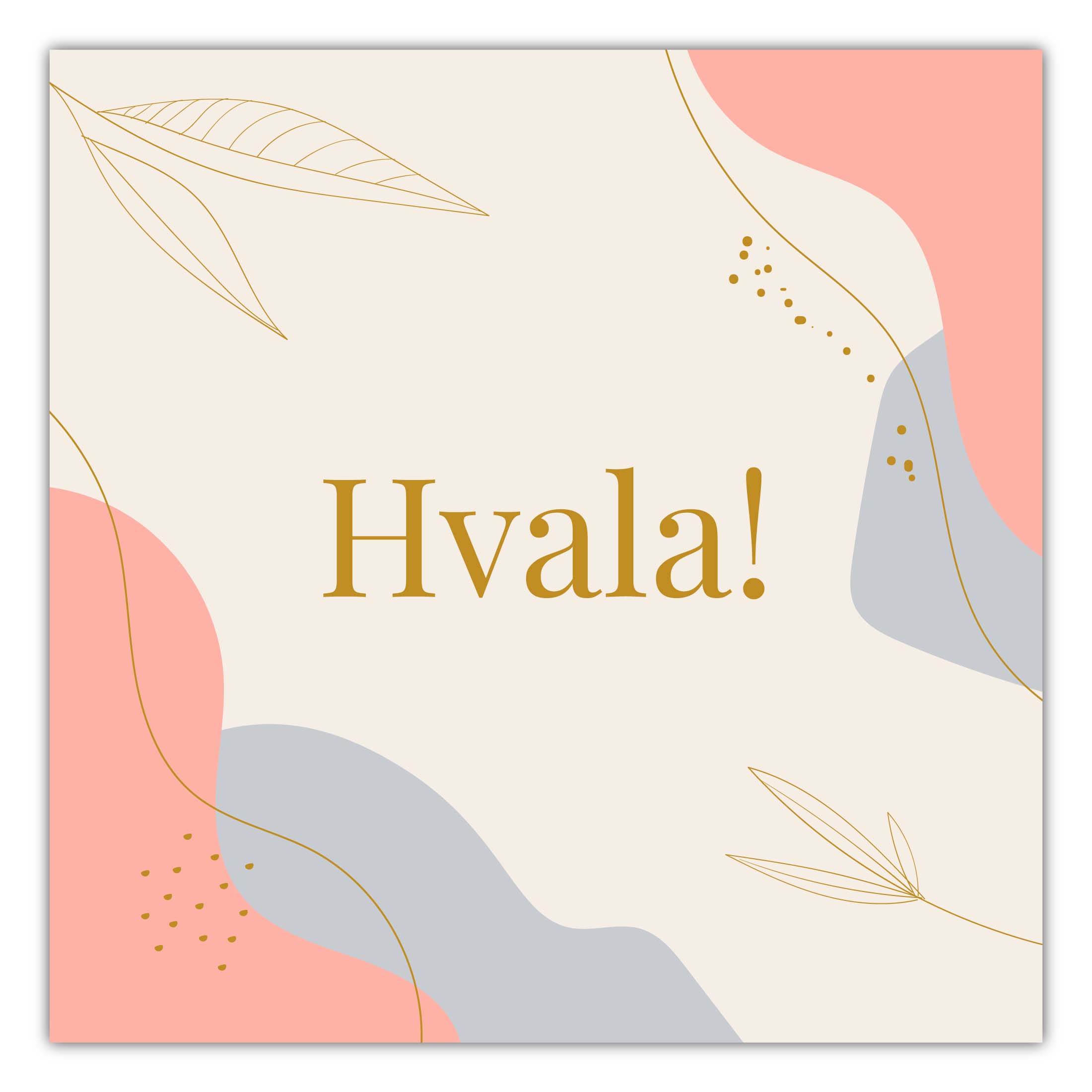 E-Gift kartica HVALA 3000 