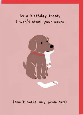 Rođendanska čestitka STEAL YOUR SOCK