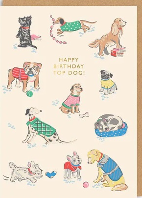 Rođendanska čestitka  HAPPY BIRTHDAY TOP DOG 