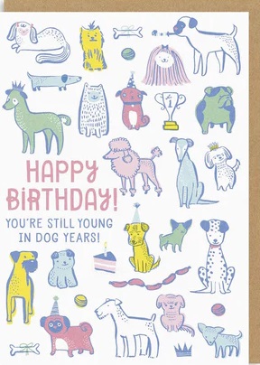 Rođendanska čestitka YOUNG IN DOG YEARS 