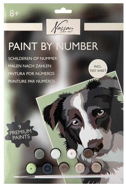 Kreativni set OBOJI PO BROJEVIMA - PAS 