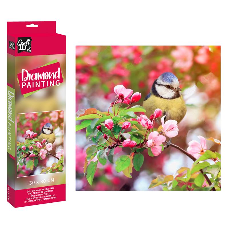 Slikanje cirkonima DIAMOND PAINTING 30x30 cm Ptica 